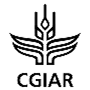 Alliance of Bioversity International and CIAT / CGIAR